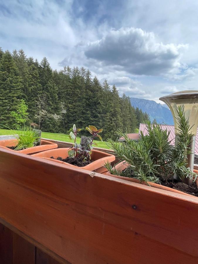 Ferienhaus Praschberg Niederndorferberg Ngoại thất bức ảnh